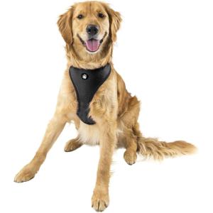 Furhaven Adjustable Padded Mesh Dog Harness – Black, Extra Large