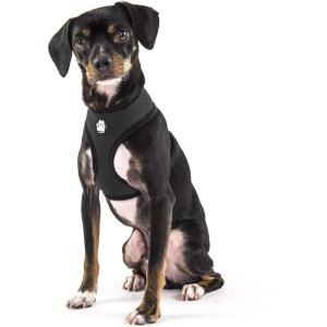 Furhaven Adjustable Padded Mesh Dog Harness – Black, Small