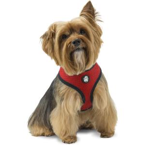 Furhaven Adjustable Padded Mesh Dog Harness – Red, Medium