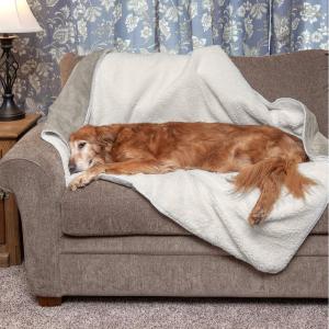 Furhaven Waterproof & Self-Warming Throw Blanket for Dogs & Indoor Cats, Washable & Reflects Body Heat – Terry & Sherpa Dog Blanket – Dove, Extra Large/XL(Dove)