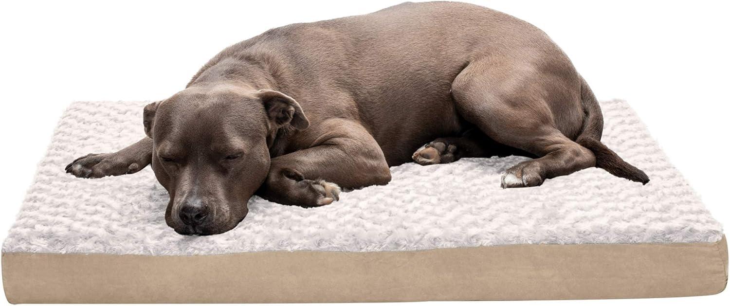 imageFurhaven Memory Foam Dog Bed for Large Dogs w Removable Washable Cover For Dogs Up to 125 lbs Ultra Plush Faux Fur ampamp Suede Mattress Gray Jumbo PlusXXLUltra Plush Curly Faux Fur Cream