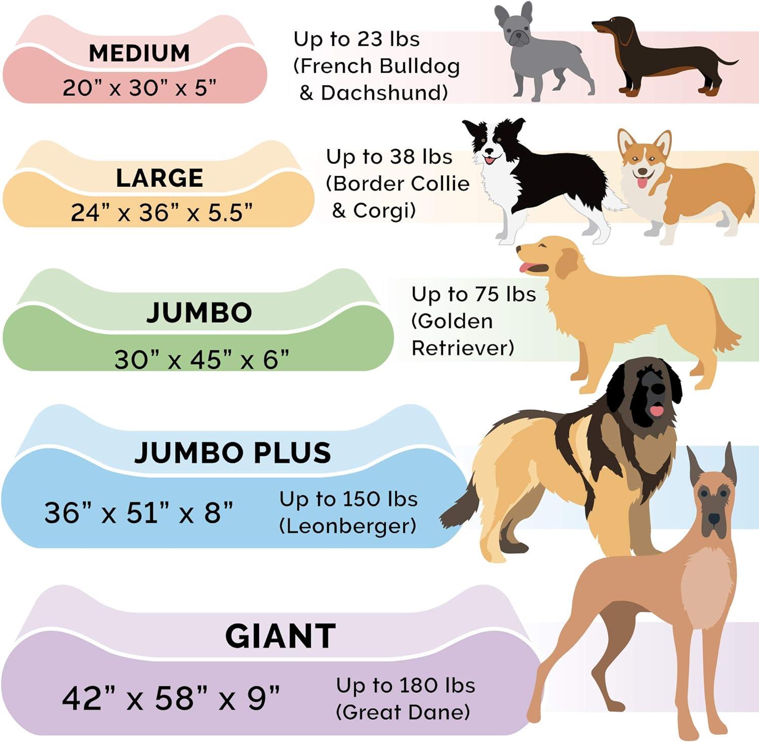 imageFurhaven Memory Foam Dog Bed for Large Dogs w Removable Washable Cover For Dogs Up to 150 lbs Ultra Plush Faux Fur ampamp Suede Luxe Lounger Contour Mattress Cream Jumbo PlusXXL