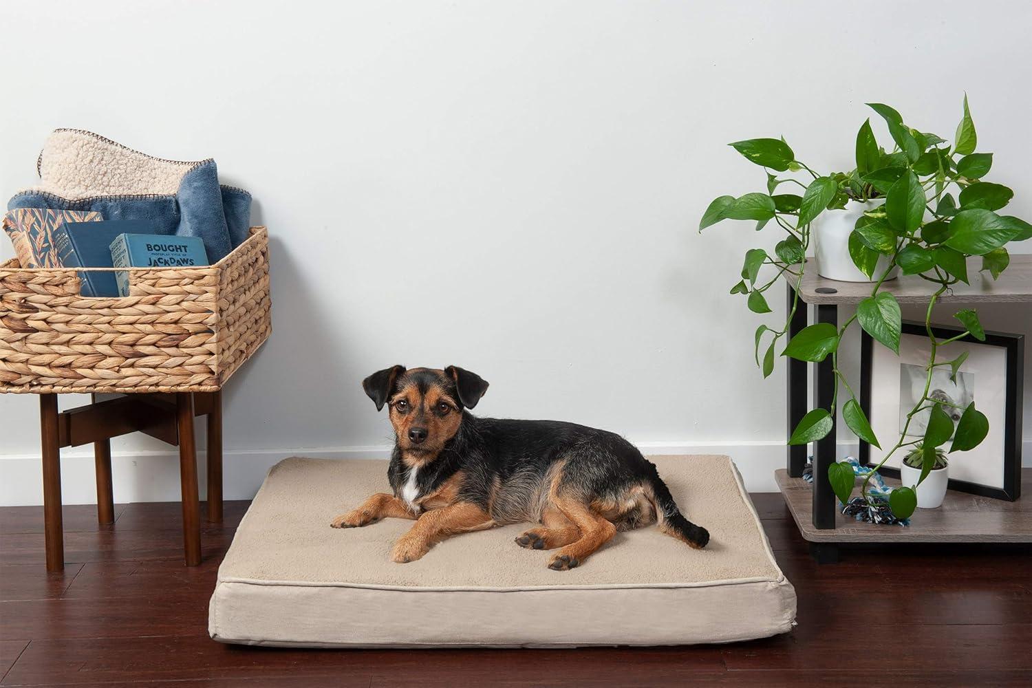 imageFurhaven Memory Foam Dog Bed for Large Dogs w Removable Washable Cover For Dogs Up to 95 lbs Ultra Plush Faux Fur ampamp Suede Mattress Chocolate JumboXLTerry Suede Clay