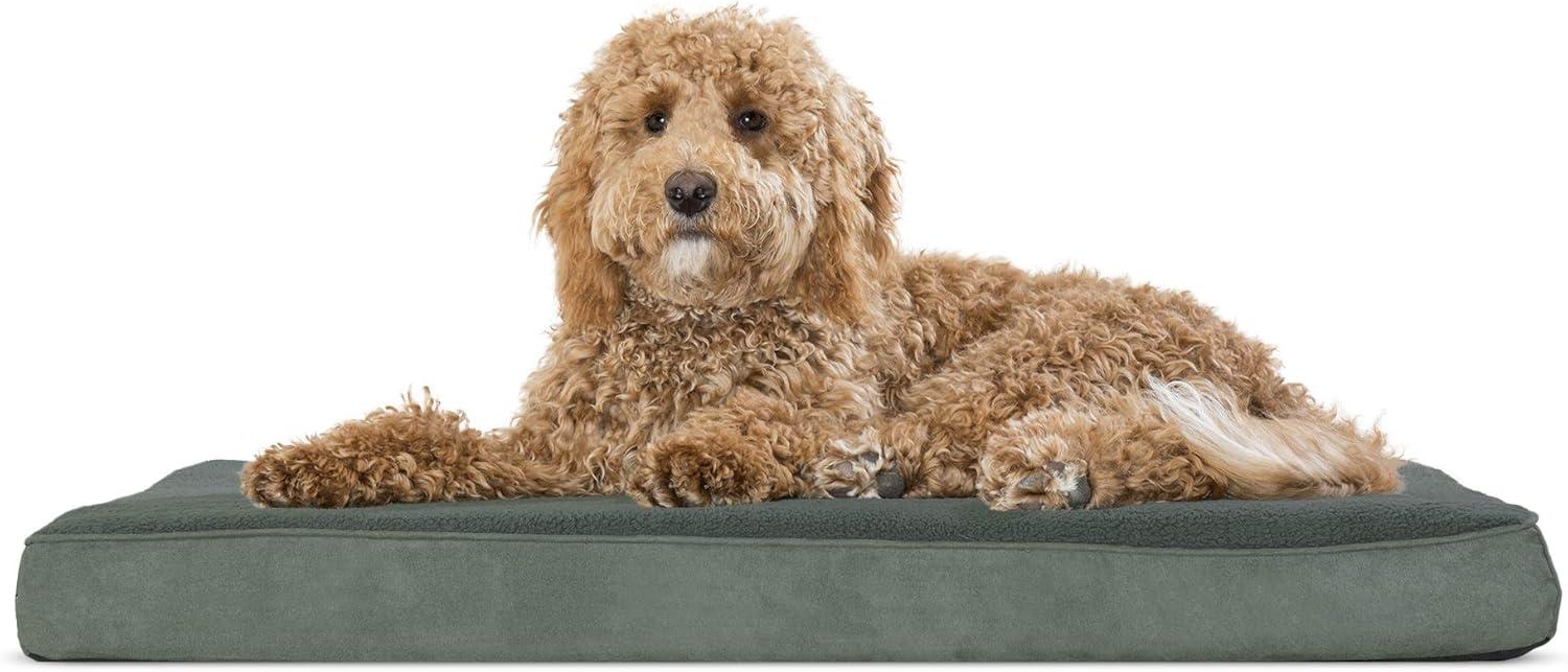 imageFurhaven Memory Foam Dog Bed for Large Dogs w Removable Washable Cover For Dogs Up to 95 lbs Ultra Plush Faux Fur ampamp Suede Mattress Chocolate JumboXLTerry Suede Forest