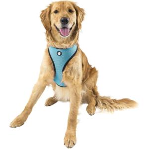 Furhaven Adjustable Padded Mesh Dog Harness – Lagoon Blue, Extra Large
