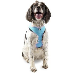 Furhaven Adjustable Padded Mesh Dog Harness – Lagoon Blue, Large