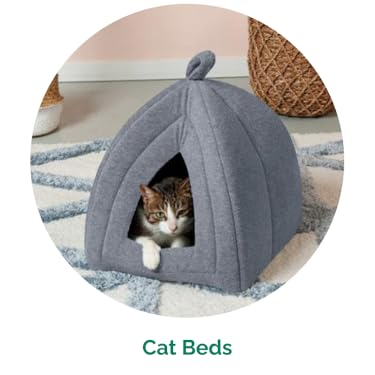FurHaven : Create a Cozy Home for Your Furry Friends