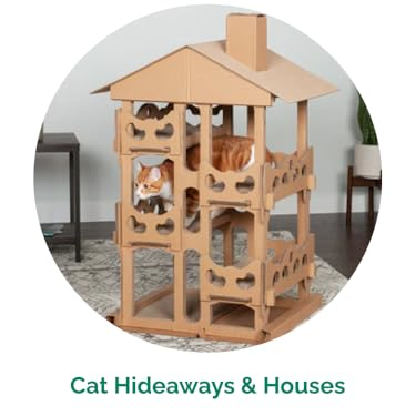 FurHaven : Create a Cozy Home for Your Furry Friends