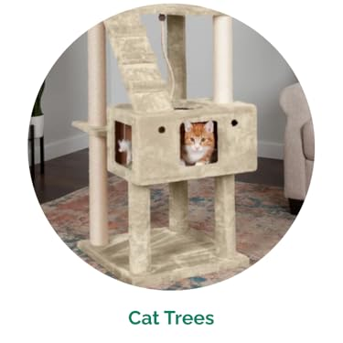 FurHaven : Create a Cozy Home for Your Furry Friends