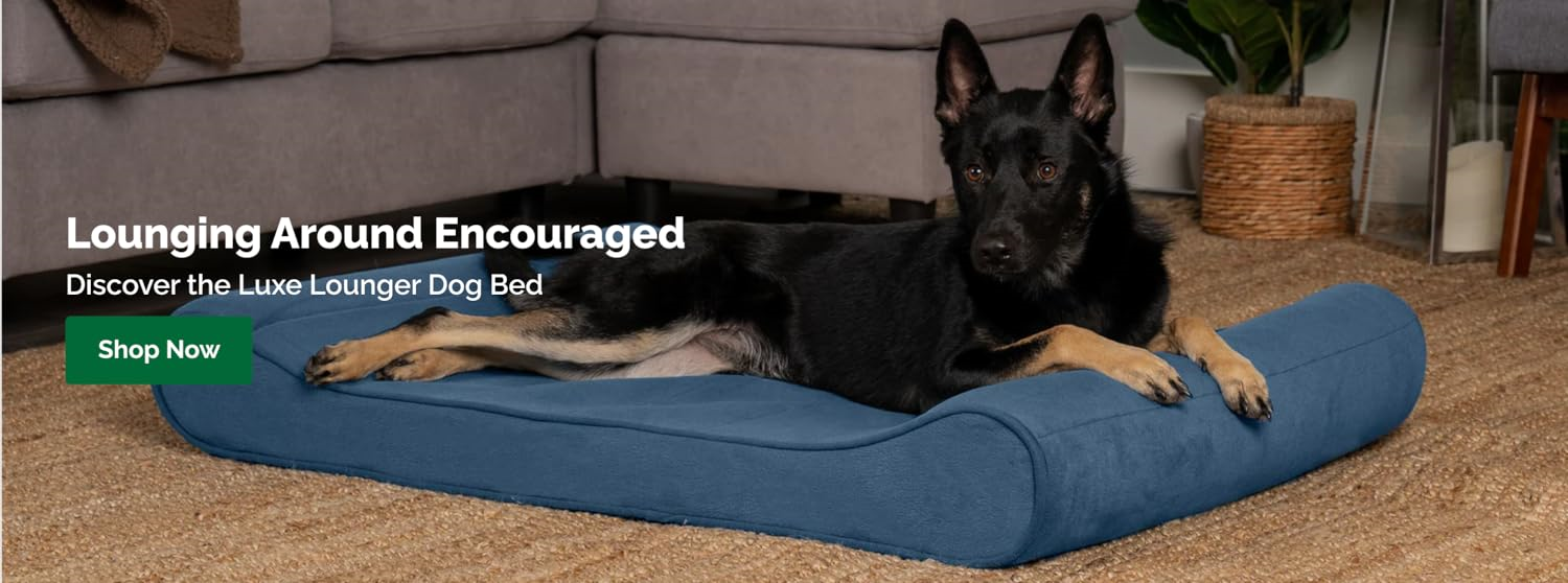 FurHaven : Create a Cozy Home for Your Furry Friends