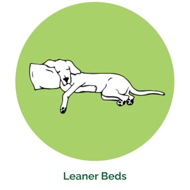 FurHaven : Create a Cozy Home for Your Furry Friends