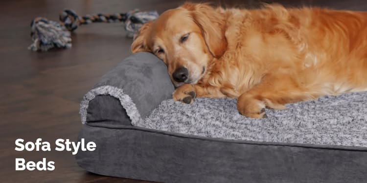 FurHaven : Create a Cozy Home for Your Furry Friends