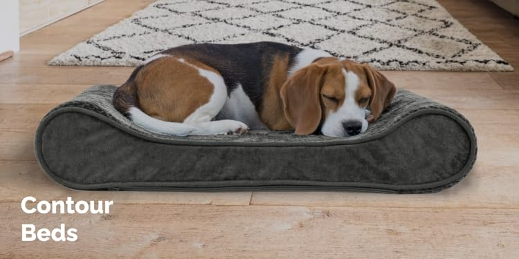 FurHaven : Create a Cozy Home for Your Furry Friends