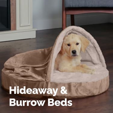 FurHaven : Create a Cozy Home for Your Furry Friends
