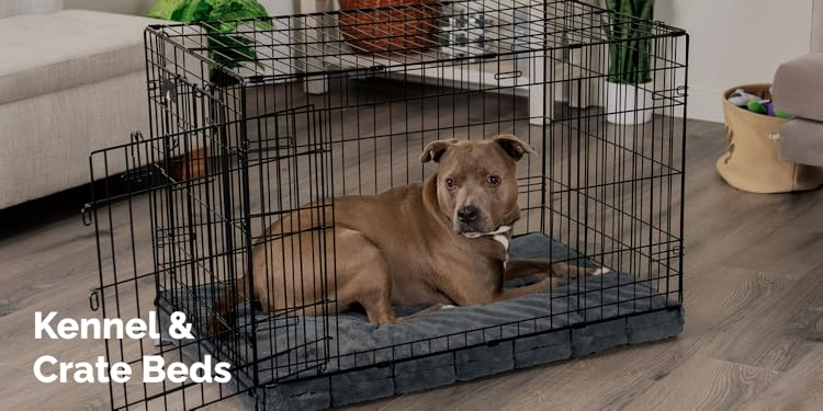 FurHaven : Create a Cozy Home for Your Furry Friends