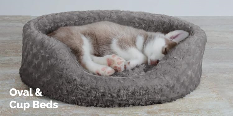 FurHaven : Create a Cozy Home for Your Furry Friends
