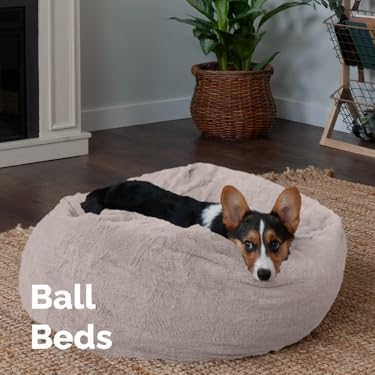 FurHaven : Create a Cozy Home for Your Furry Friends
