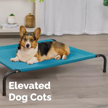 FurHaven : Create a Cozy Home for Your Furry Friends