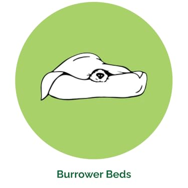 FurHaven : Create a Cozy Home for Your Furry Friends