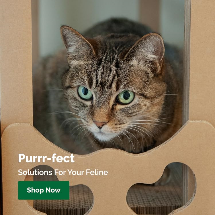 FurHaven : Create a Cozy Home for Your Furry Friends
