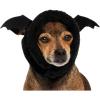 Black Bat